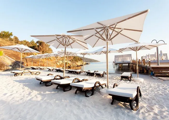 Thor By Alkoclar Exclusive Bodrum (adults Only)